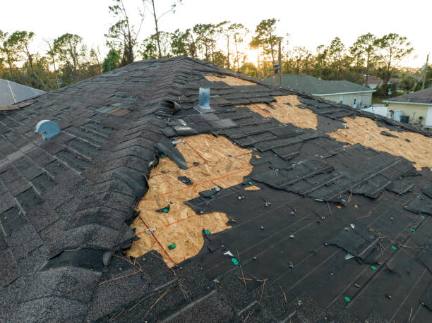 Best Storm Damage Roof Repair  in Redan, GA