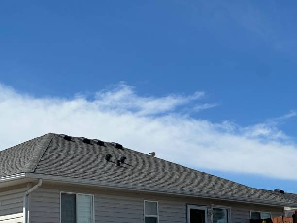 Best Steel Roofing  in Redan, GA